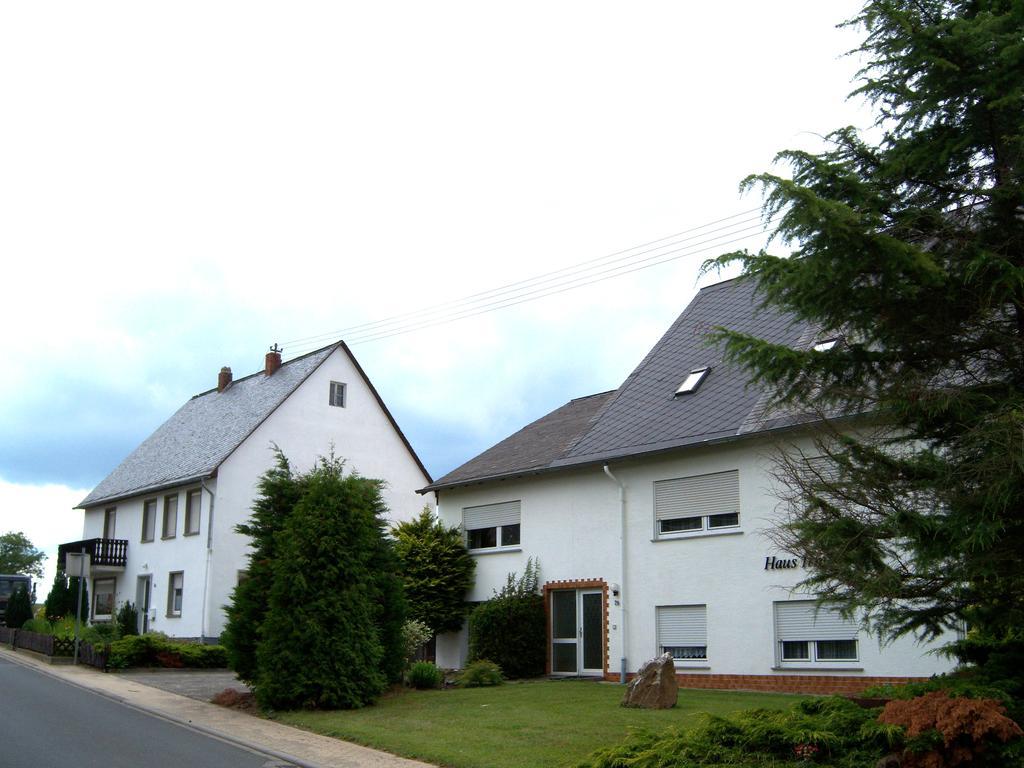 Villa Haus Irmgard Schlierschied Exterior foto
